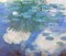 Nympheas 1914 Poster Print by Claude Monet - Item # VARPDX373817